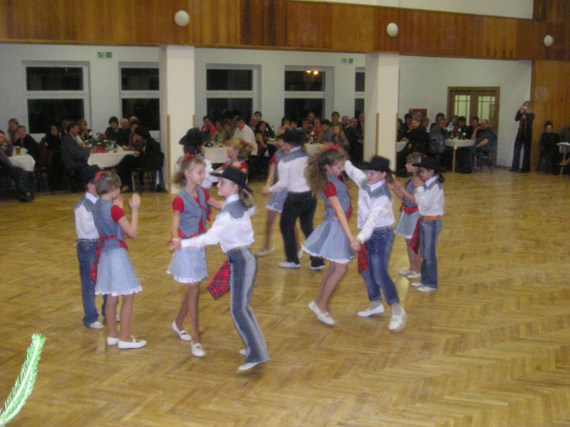 P1136899.jpg